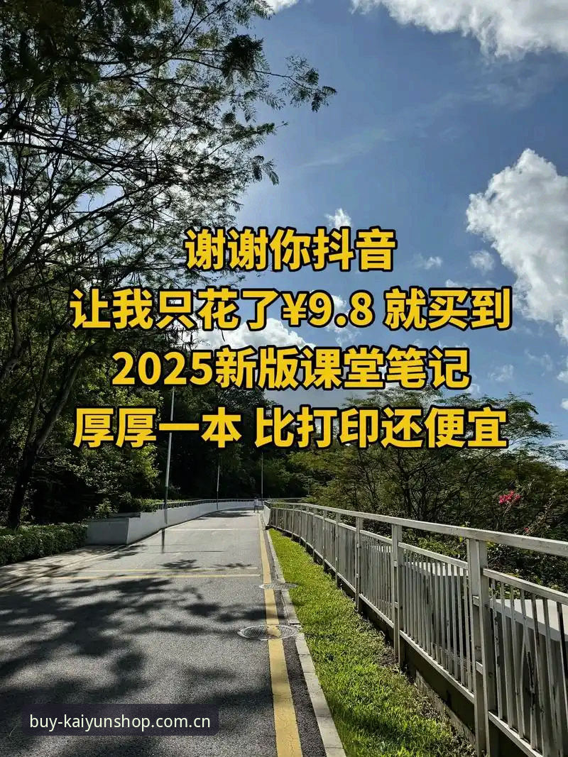 KAIYUN平台登录匠心只为满足你使用指南：老玩家的2025新版上手笔记